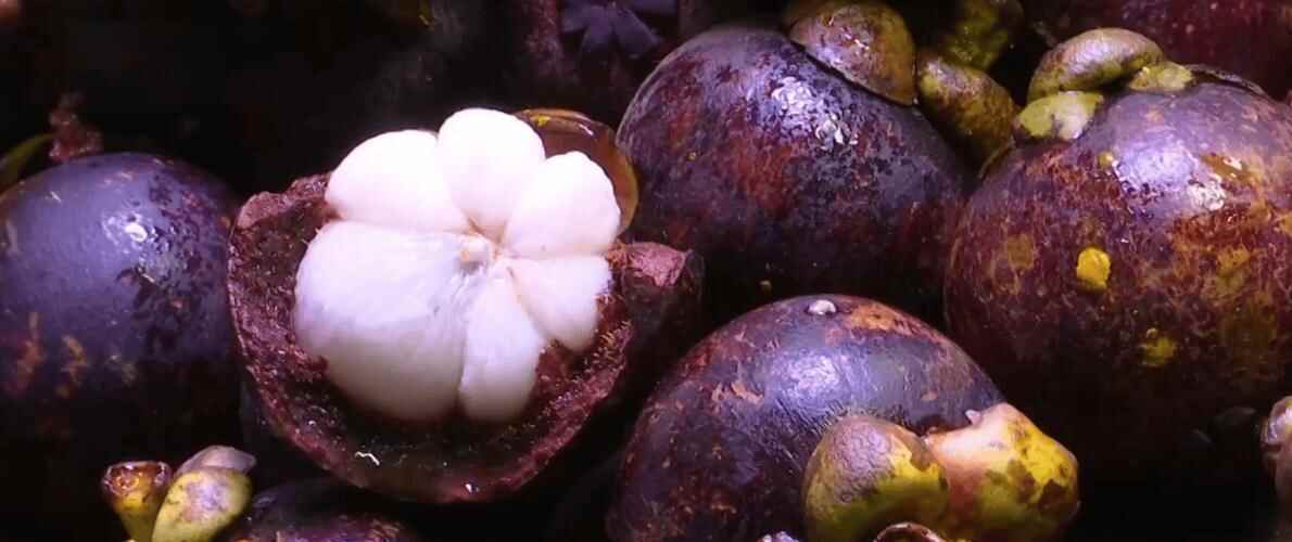 夢見買山竹解夢大全：從《周公解夢》到個人經驗的深度解析相关图片