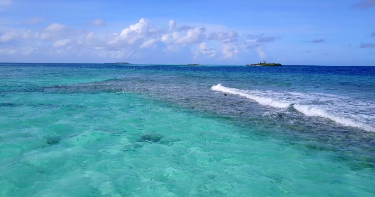 夢見淺水：周公解夢深度解析與20年實戰經驗分享