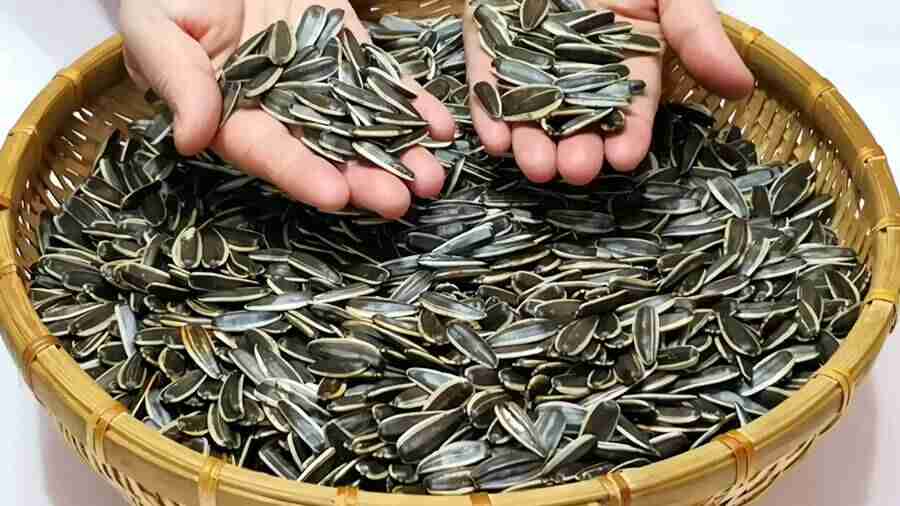 夢見給別人瓜子代表什麼？周公解夢揭開人際關係與財運秘密