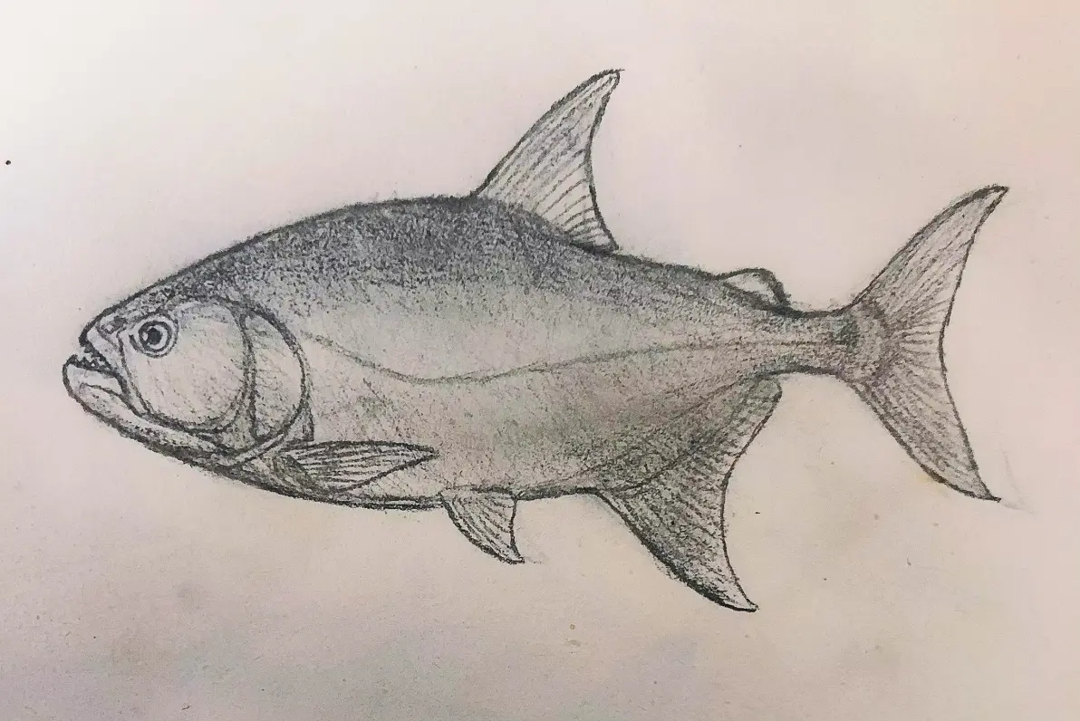 夢見吃人魚是凶兆嗎？資深解夢師揭開夢境背後的深層暗示