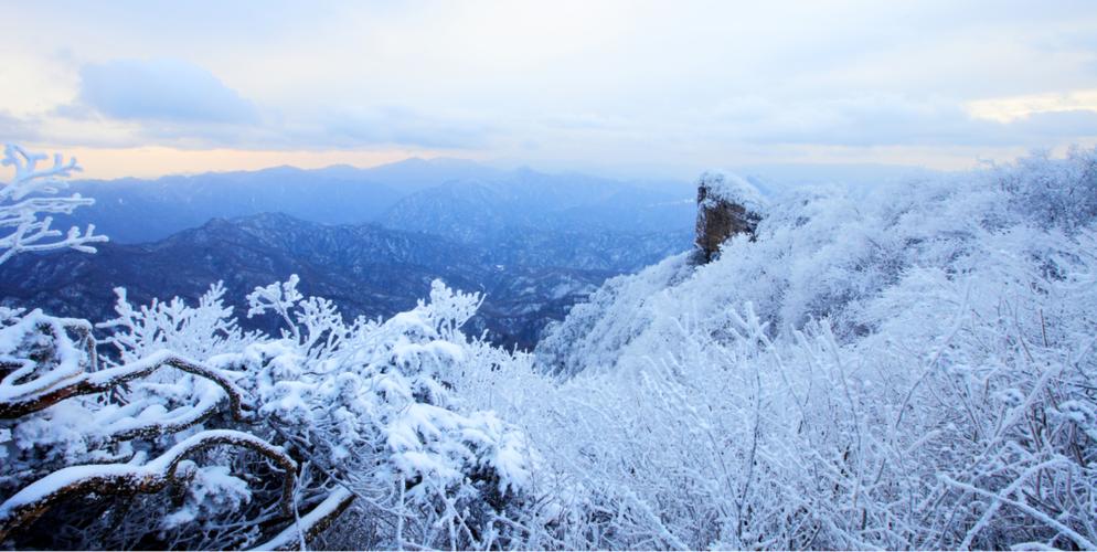 夢見山頂積雪：雪頂夢境的深度解讀與經典啟示