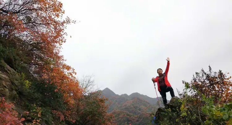 夢見姐夫登山？周公解夢：登山象徵事業攀升，姐夫的出現暗藏家族訊息